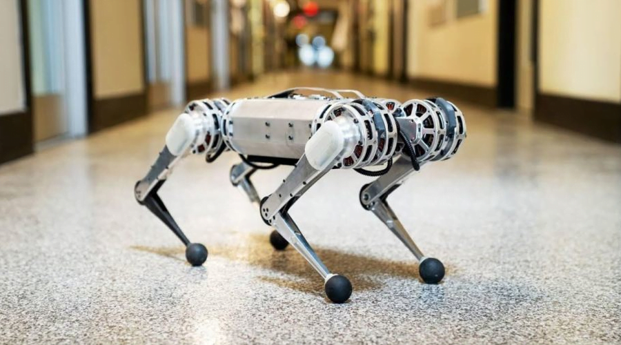 MIT Mini Çita robotu