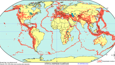 Photo of Deprem Öldürmez Binalar Öldürür: Dünya Çapında Evlerin Yıkılmaması için Kullanılan 10 Depreme Dayanıklı Bina Teknolojisi